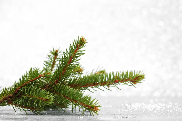 Ramo dell'albero di Natale — Foto Stock