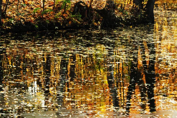 Bella vista sul lago autunnale con foglie d'arancio — Foto Stock