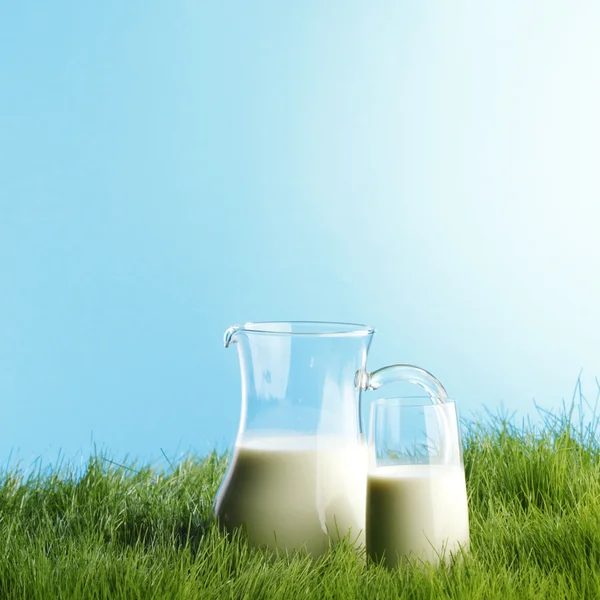 Jarro de leite e vidro no campo de grama — Fotografia de Stock