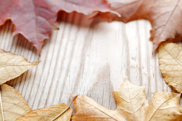 Autunno foglie su sfondo di legno con spazio copia — Foto Stock