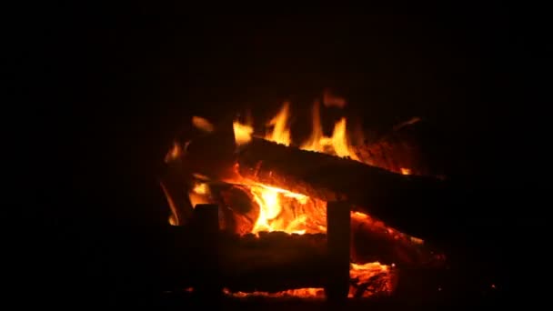 Fire in fireplace — Stock Video