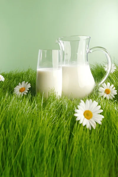 Milch in Glas und Glas auf der Blumenwiese — Stockfoto