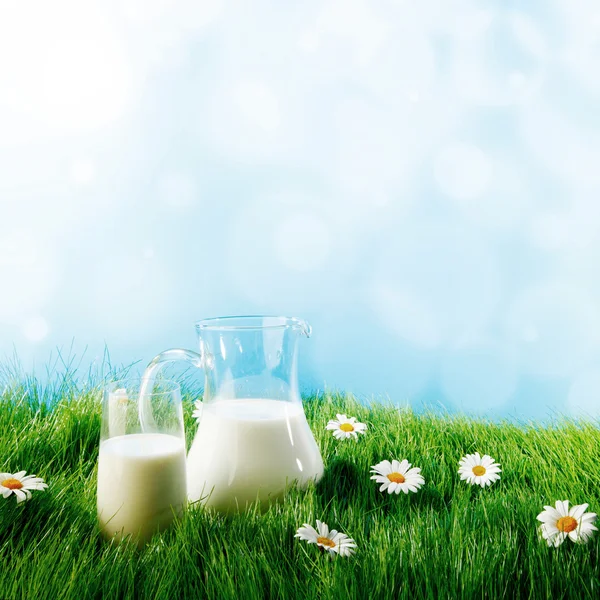 Dzbanek mleka i szkło na trawie — Zdjęcie stockowe