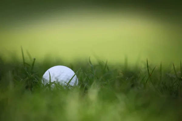 Pelota de golf en hierba — Foto de Stock