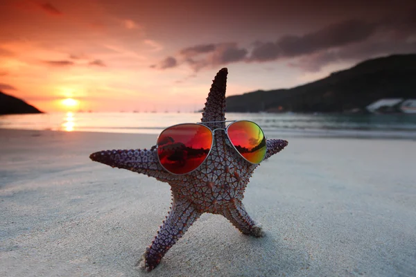 Estrella de mar en la playa — Foto de Stock