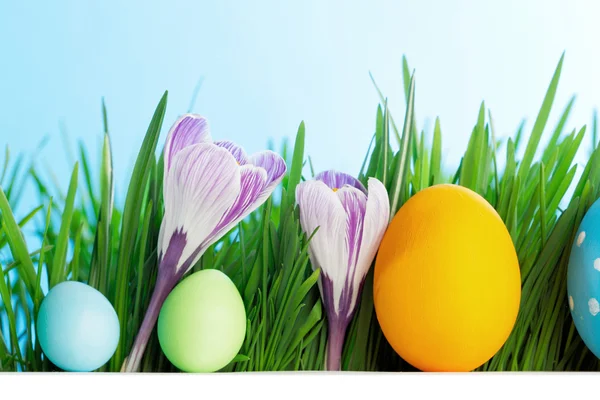 Řada velikonočních vajíček v trávě — Stock fotografie