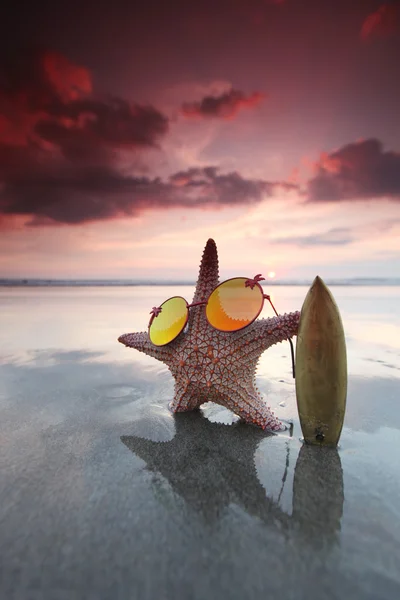 Starfish surfer στην παραλία — Φωτογραφία Αρχείου