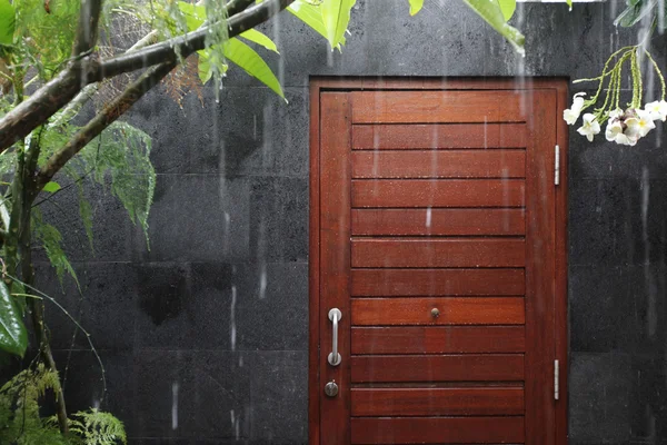 Rain drops and tropical plants and flowers on background — Stock Photo, Image