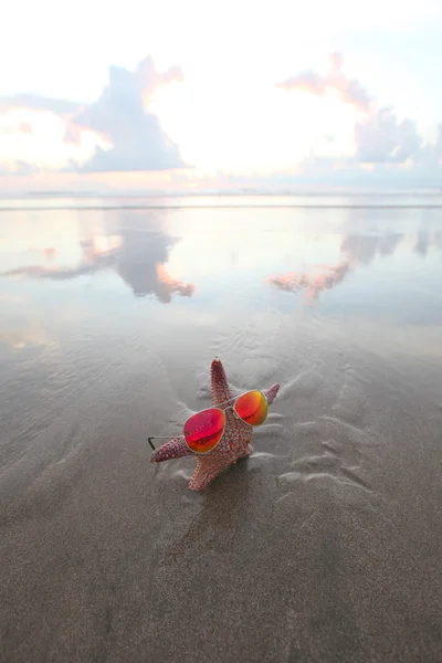 Estrella de mar en la playa de verano — Foto de Stock