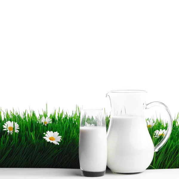 Milk jug and glass on flower field — Stock Photo, Image