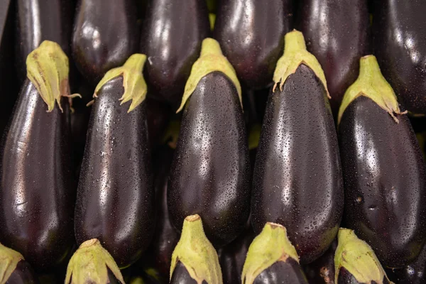 Aubergine aubergine brinjal — Stockfoto