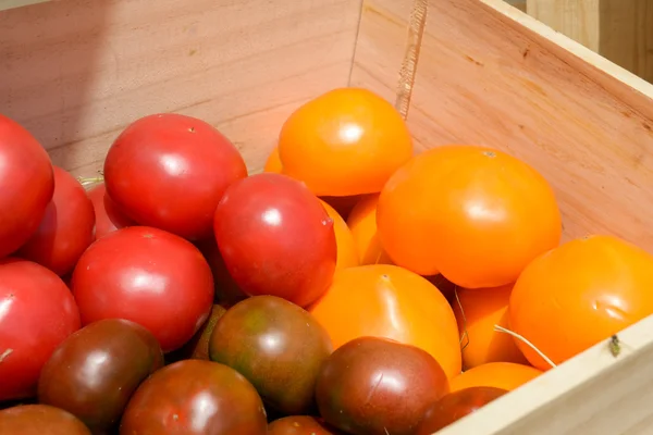 Tomates rouges et jaunes dans des caisses en bois Images De Stock Libres De Droits