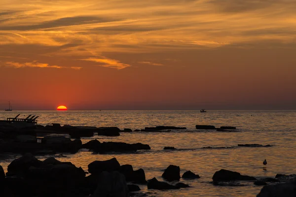 Hermosa puesta de sol en la costa rocosa del Adriático — Foto de Stock