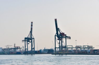 Rotterdam deniz kargo liman manzarası