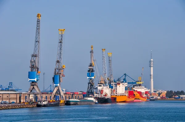 Panorama Rotterdamu moře nákladní přístav — Stock fotografie