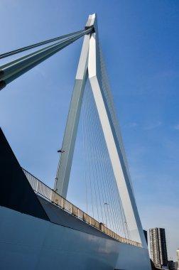 Erasmus bridge Rotterdam Hollanda Hollanda