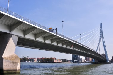 Erasmus bridge Rotterdam Hollanda Hollanda