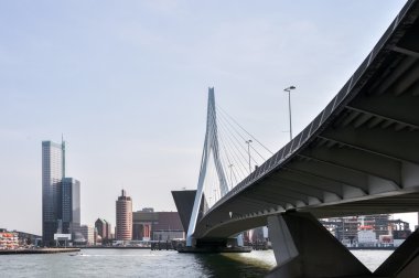 Erasmus bridge Rotterdam Hollanda Hollanda