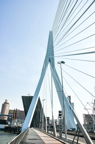 Erasmus bridge in rotterdam niederland holland — Stockfoto