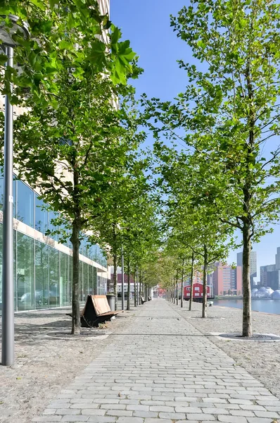 Dlážděné pěší promenáda v Holandsku Nizozemsko Rotterdam — Stock fotografie