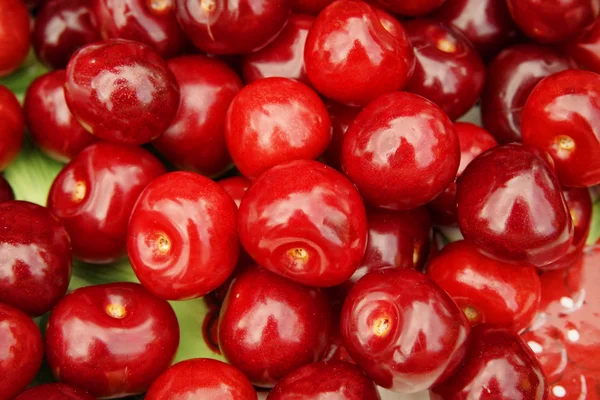 Red cherries macro background — Stock Photo, Image