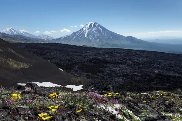 Kamchatka beautiful summer volcanic landscape