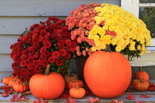 Decoración de otoño y Acción de Gracias —  Fotos de Stock