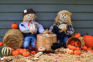 Scarecrows on brake don?t guard harvest and crow eat corn  clipart