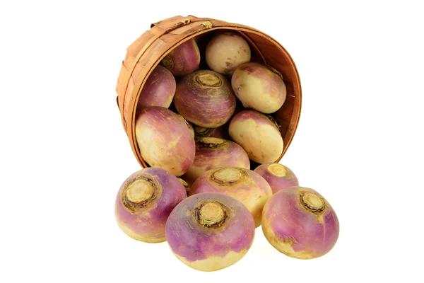 Vegetable Turnip roots — Stock Photo, Image