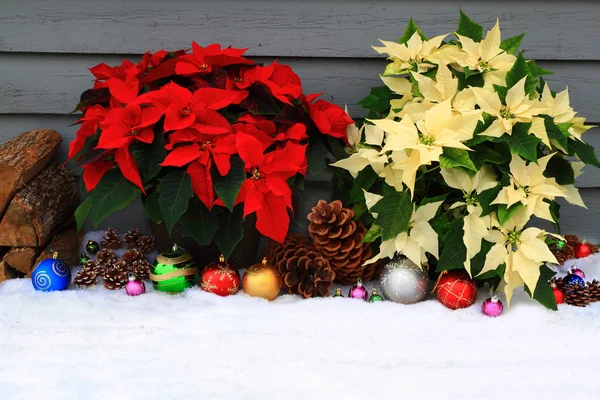 Navidad, (Año Nuevo) Decoración — Foto de Stock