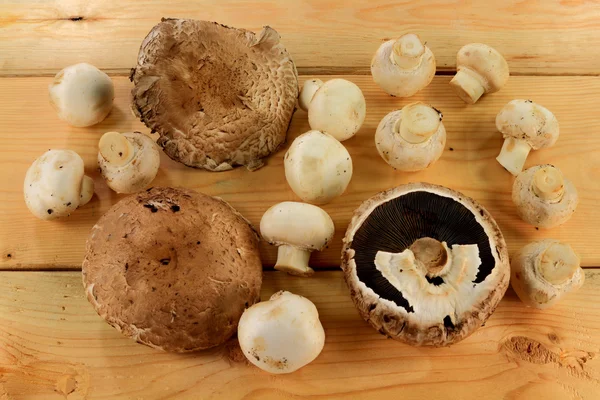 In Farm geassorteerde paddestoelen over houten tafel — Stockfoto