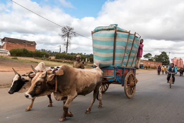 Rice farmer in town — Stock Photo, Image