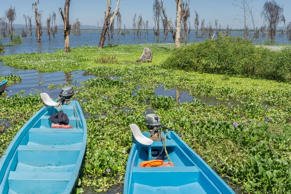 Bateaux sur le lac Naivasha — Photo