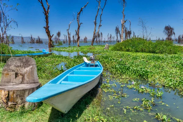 Båtar på Naivasha sjö — Stockfoto