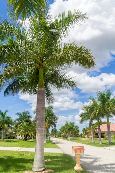 Florida sunny — Stockfoto