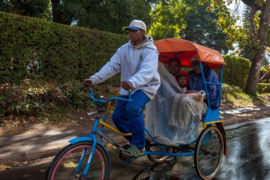 Modern Pousse Pousse