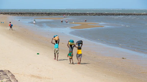 La gente del posto raccoglie molluschi lungo la spiaggia — Foto Stock