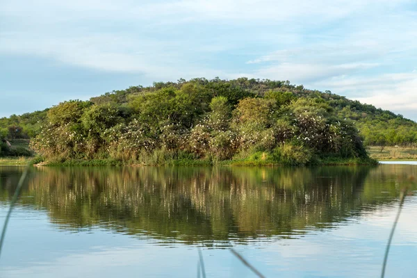 Milhares de pássaros aninham em uma pequena ilha — Fotografia de Stock