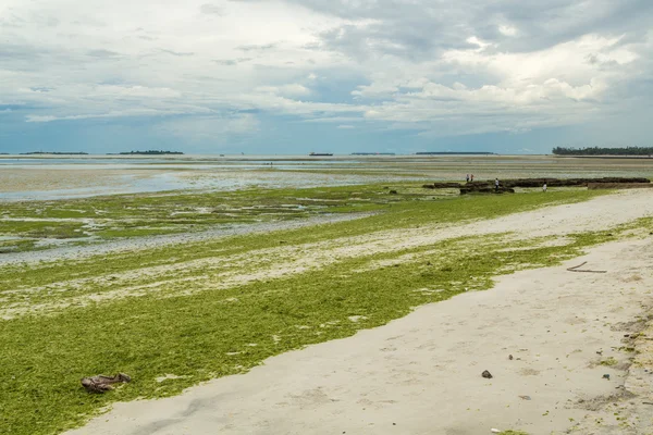 Brzegi z dar es salaam — Zdjęcie stockowe