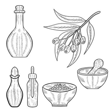 Okaliptüs mon 1 seti