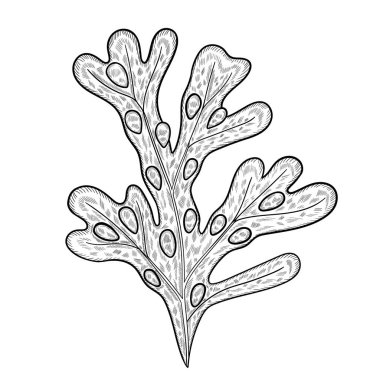 Sikeyim böyle işi.