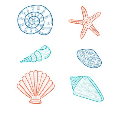 deniz kabukları, deniz yıldızı rengi