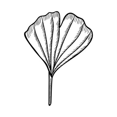 Ginkgo Biloba sanat seti