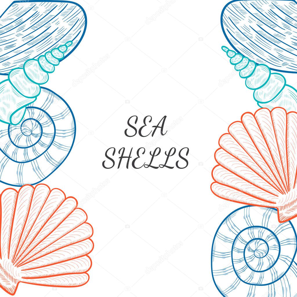 seashells, starfish border 2