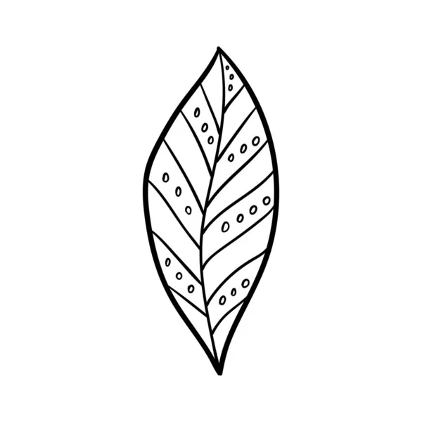 Φύλλα, σετ, scand, artbo — Διανυσματικό Αρχείο