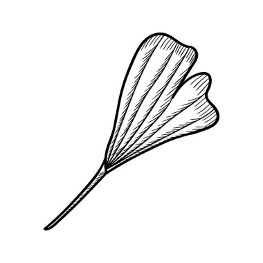 Ginkgo Biloba sanat seti