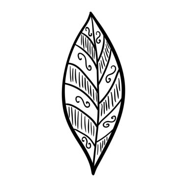 Yaprak, set, scand, artbo