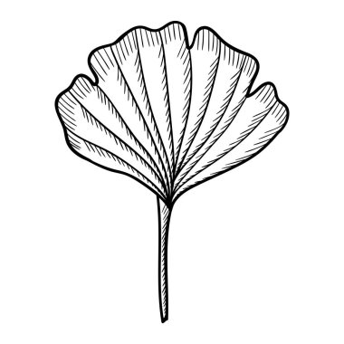 Ginkgo Biloba sanat seti