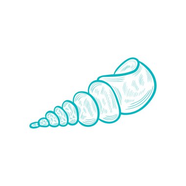 deniz kabukları, denizyıldızı set artbo