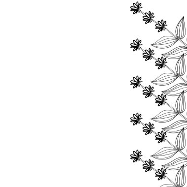 Gentian sarı çerçeve kenarı